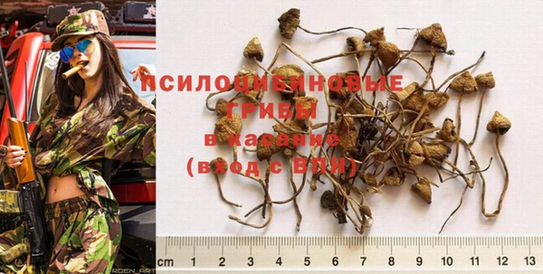 прущая мука Заводоуковск
