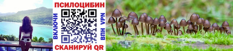 Галлюциногенные грибы MAGIC MUSHROOMS  Купить  Заводоуковск 